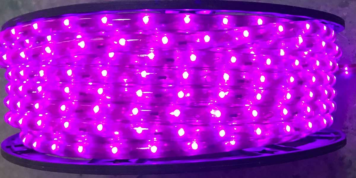 Mangueira LED Púrpura